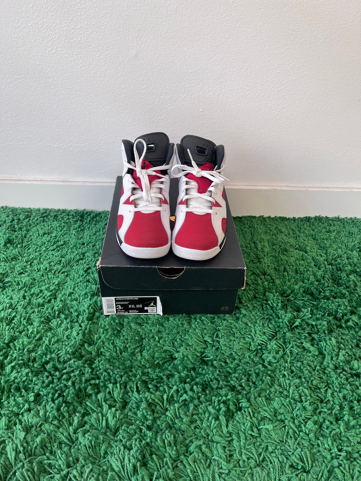 Used Jordan 6 Retro Carmine (PS)