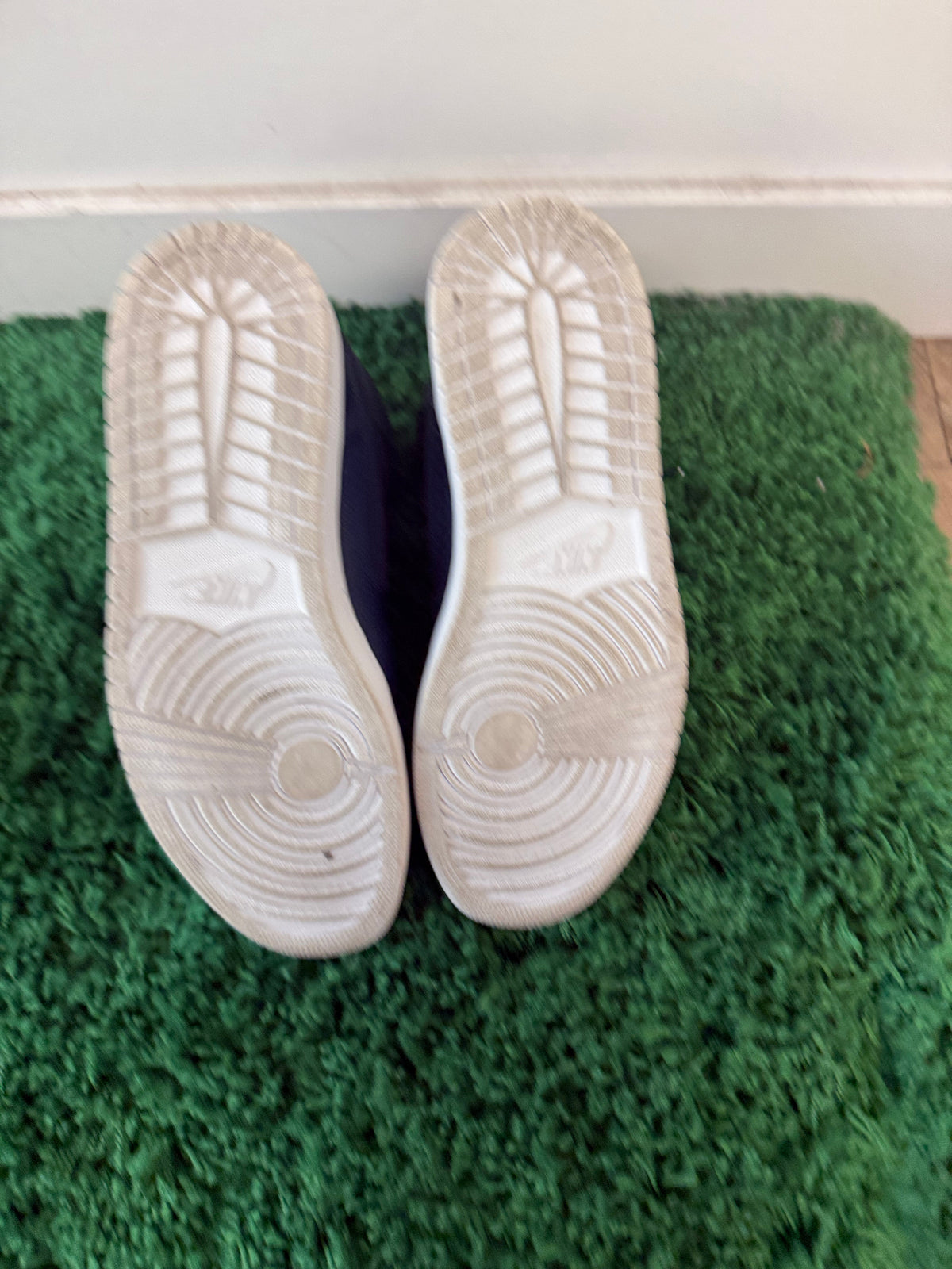 Used Jordan 1 Retro Nouveau Navy Snake